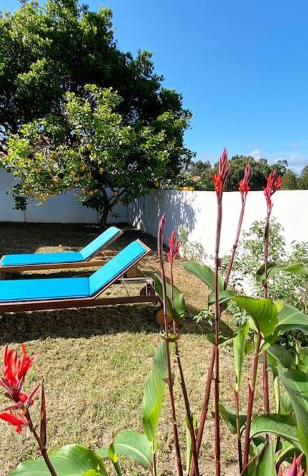 Terra Da Lagoa - Villa Near The Beach & Lagoon Nadadouro Bagian luar foto